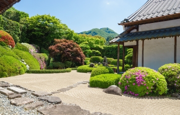 新見美術館「華道家 假屋崎省吾の世界展」