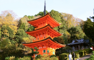 小早川秀秋公の菩提寺「瑞雲寺」