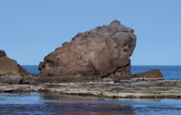 三福がえるのふるさと?!「かえる島」「今子の千畳敷」見学