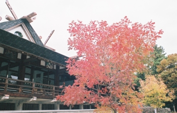 岡山の紅葉穴場めぐり!