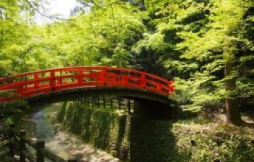 「京都国立博物館」特別展　史上初！国宝＜北野天神縁起絵巻＞鑑賞と紅葉名所「北野天満宮」で史跡御土居の青もみじを堪能！