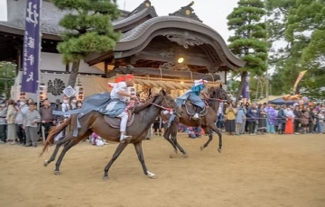 午の年　勝馬「大浦神社の昼競馬」　昼食は職人の味が味わえる「魚好人一休」