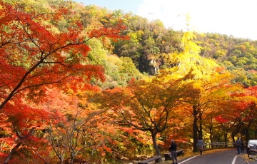 花崗岩の美しい 岡山県を代表する名勝 「豪渓」と「宝福寺」紅葉見学!