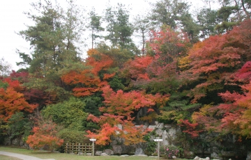 岡山の紅葉めぐり!
